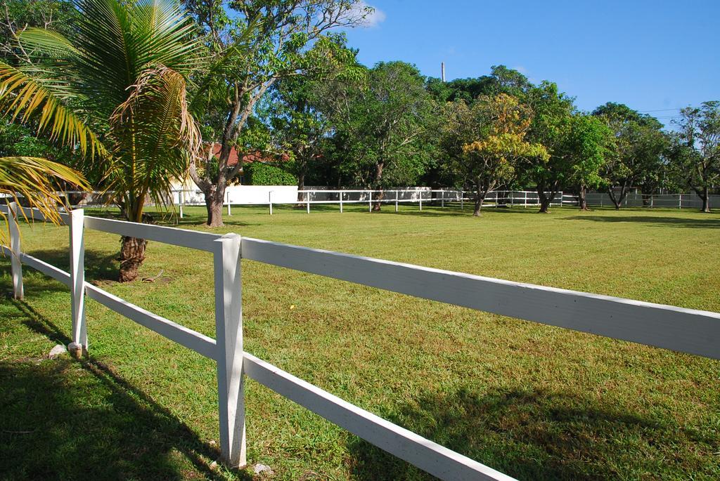 La Finca Miami Exteriör bild